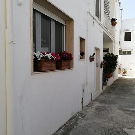 Casa Cost * توليي