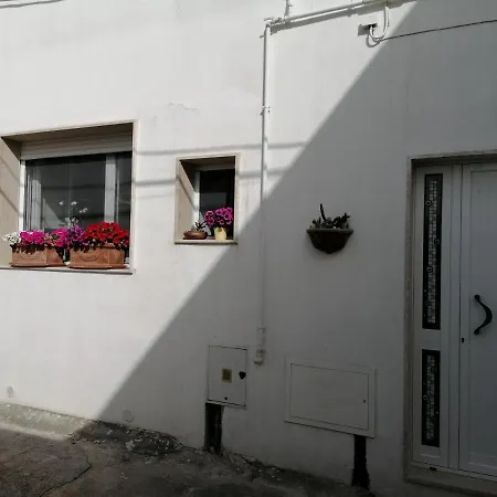 Casa Cost توليي