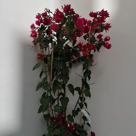 Casa Cost Vakantiehuis