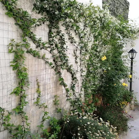 Vakantiehuis Casa Cost Tuglie