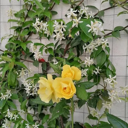 Vakantiehuis Casa Cost Tuglie