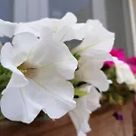 Сasa de vacaciones Casa Cost Tuglie