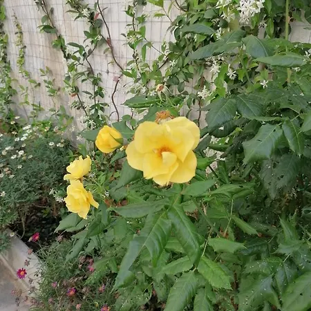 Casa Cost Holiday home *