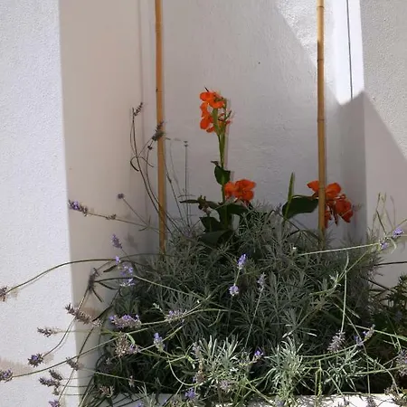 Casa Cost Holiday home