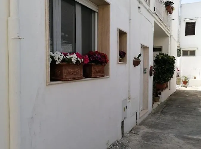 Casa Cost * توليي